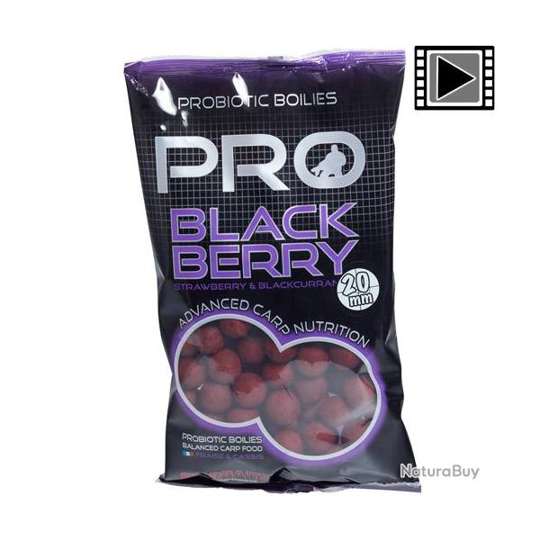 Bouillettes Starbaits Probiotic Blackberry 20mm 800g