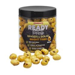 Noix Tigrées Starbaits Ready Seeds Pro Bright 250ml Ginger Squid