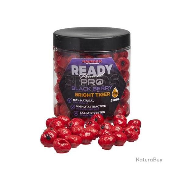 Noix Tigres Starbaits Ready Seeds Pro Bright 250ml Blackberry