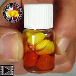 Maïs Doux Enterprise Tackle Flottant Shellfish B5 (par 8)