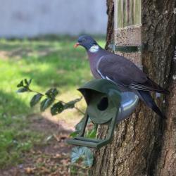 Mangeoire pour Pigeon Gris Opaque