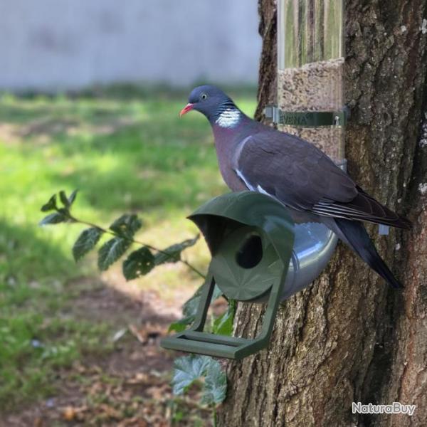 Mangeoire pour Pigeon Gris Opaque