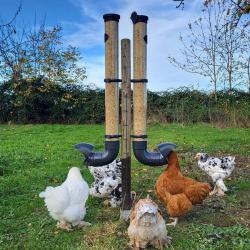 Mangeoire pour Poule Vert Olive, 5kg, Gris Opaque