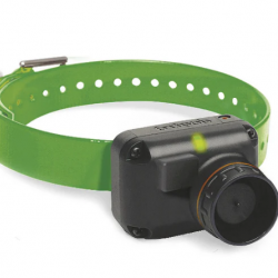 Collier supplémentaire Dogtra 2600 T&B - Vert