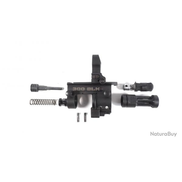 Gas block complet RUGER SR-556 300BLK