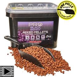 Pellets Starbaits Probiotic Blackberry 2kg