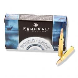 Munitions FEDERAL calibre 300 Win Mag Softpoint 180gr x20