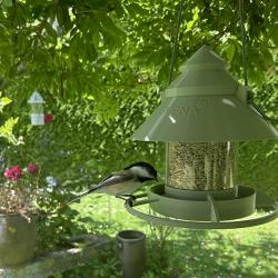 Mangeoire pour oiseaux à Suspendre Vert Olive