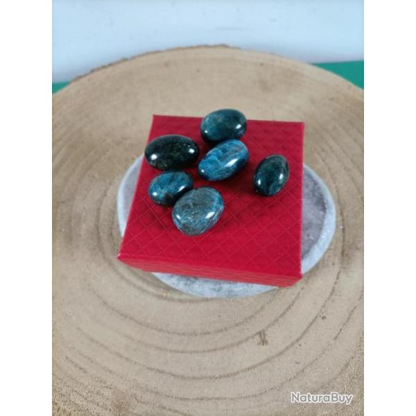 Oeufs en pierre naturelle Apatite : 6 pour un total de 51 grammes