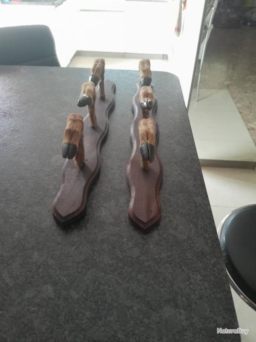 Ratelier pattes chevreuil pour 3 armes - Rateliers et porte-fusils (12181815