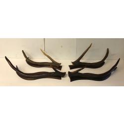 Lot de 2 paires de bois Cerf élaphe monter en porte manteau