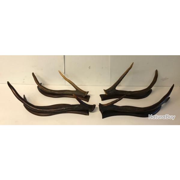 Lot de 2 paires de bois Cerf laphe monter en porte manteau