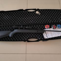 Carabine Cal 4,5 de marque Gamo