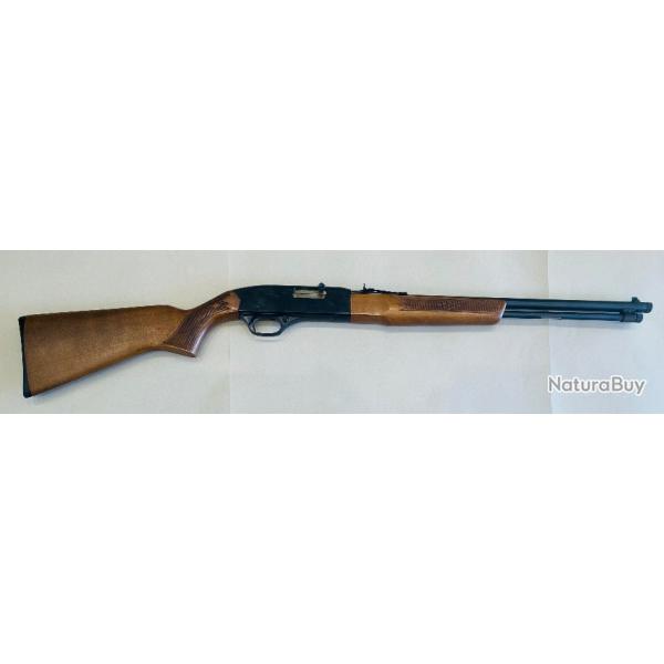 CARABINE WINCHESTER MOD 190 CAL 22 LR