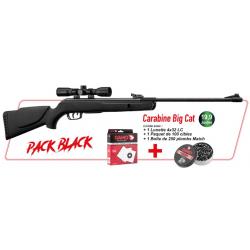 Pack GAMO  Carabine Big Cat + Lunette 4x32 LC + 100 cibles + 250 plombs Match Gamo