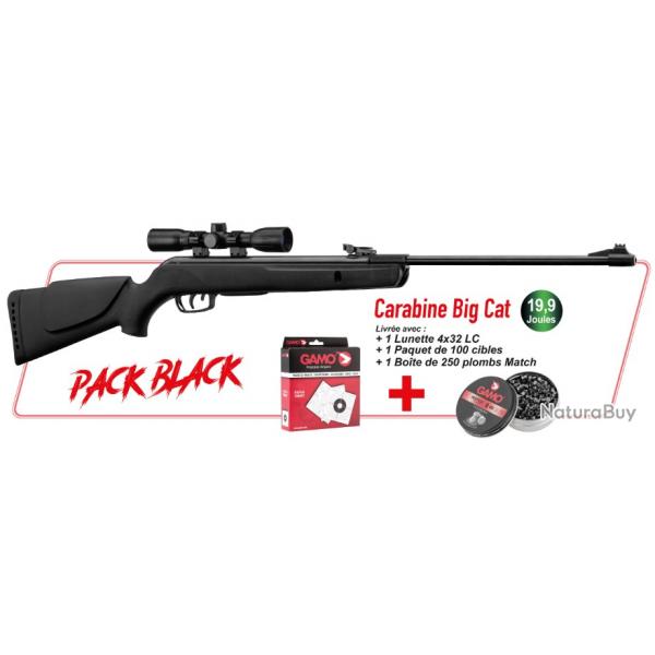 Pack GAMO  Carabine Big Cat + Lunette 4x32 LC + 100 cibles + 250 plombs Match Gamo