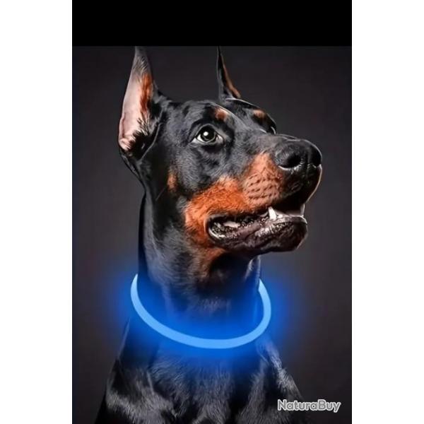 Collier lumineux pour animaux. LED/USB C.