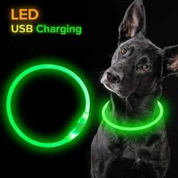 Collier lumineux pour animaux. LED/USB C. TAILLE M. VERT.