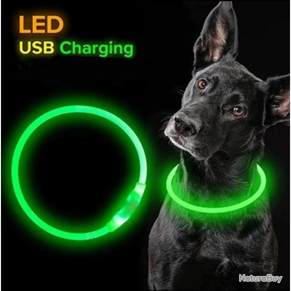 Collier lumineux pour animaux. LED/USB C. TAILLE M. VERT.