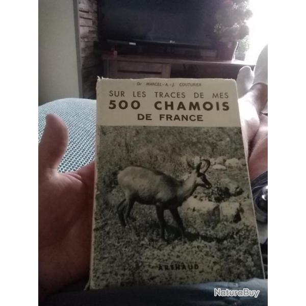 Sur les traces de mes 500 chamois