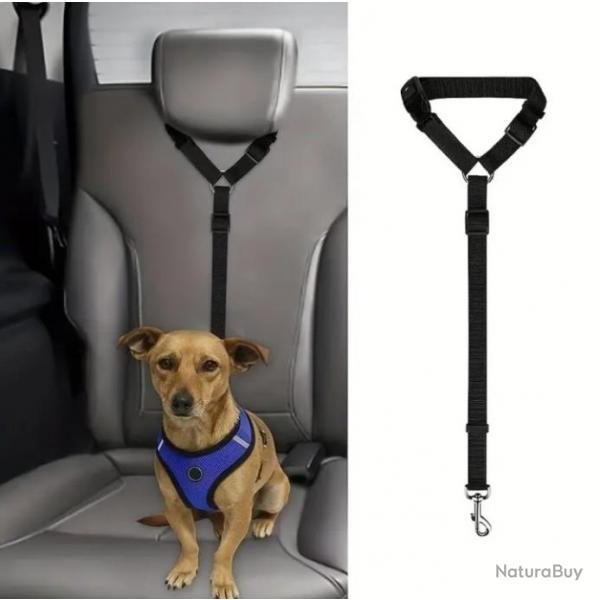 Pack Vacances Tranquilles... Laisse de scurit, Gamelle et Collier LED. (Chien/Chats) TAILLE M/S