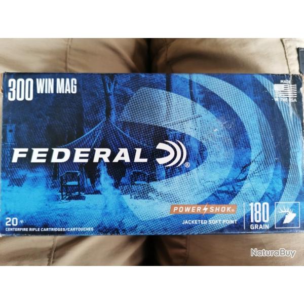 Munitions Federal 300 WM 180 grain