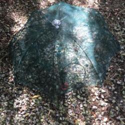 Nasse parapluie pour écrevisses et poissons