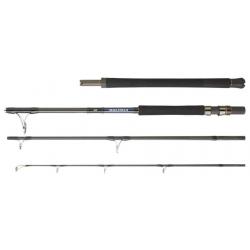 Canne Leurre Mer Multibrin Daiwa Saltiga Air Portable 2.44m - 160g