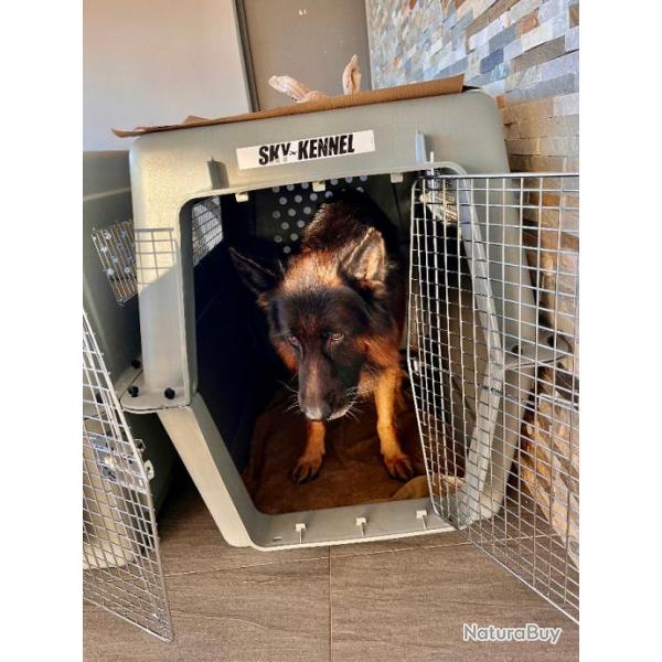 CAGES DE TRANSPORT POUR GRAND CHIENS XXXL Normes UTA