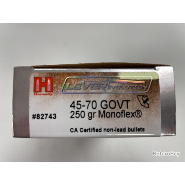 HORNADY45/70 GOUV 250GR BOITE DE 20 BALLES(VENDU PAR 2 BOITES