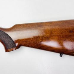 Crosse Fusil Beretta ES100 Occasion