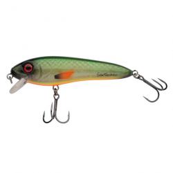 Leurre Jerkbait Abu Garcia Mccelly 170Mm 90G FEGIS