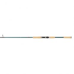 Canne Abu Garcia Beast X Pike 842 H 30-110G Spin Cork 2,54M