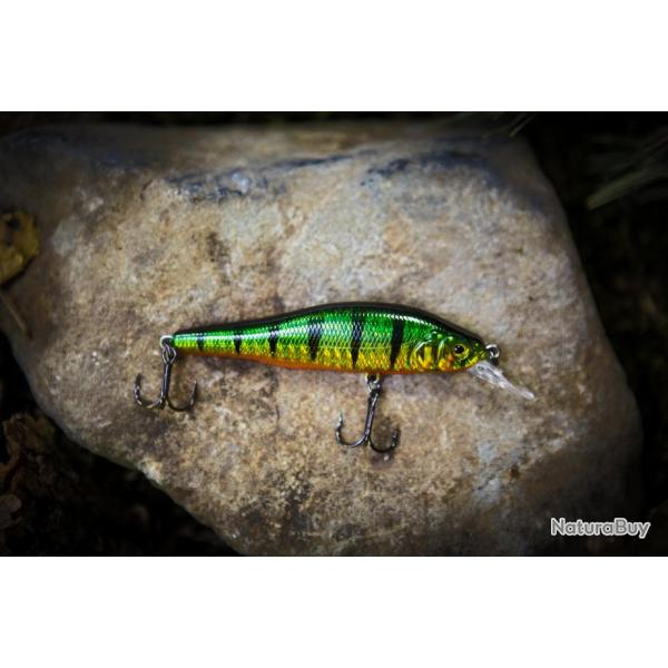 Twitch-Minnow - Perch