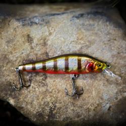 Twitch-Minnow - Tiger