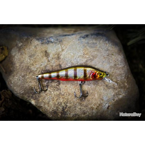 Twitch-Minnow - Tiger