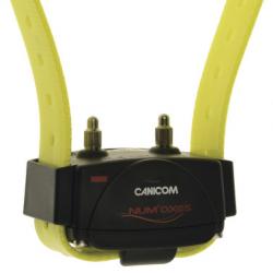 COLLIER SUP. DE DRESSAGE NUM'AXES CANICOM JAUNE