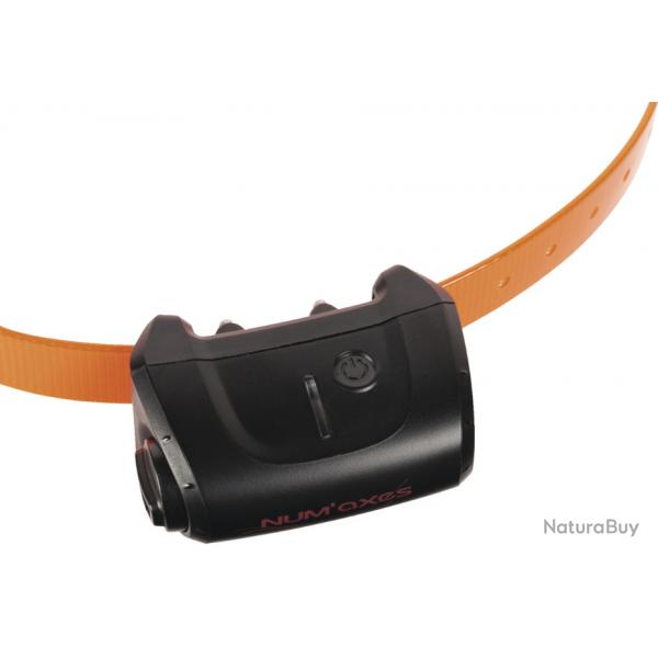 COLLIER SUP. DE DRESSAGE NUM'AXES CANICOM 5 ORANGE