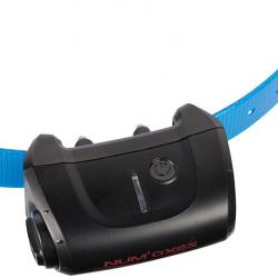 COLLIER SUP. DE DRESSAGE NUM'AXES CANICOM 5 BLEU