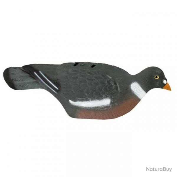 Coque pigeon HD