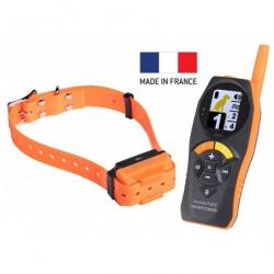 Canicom R-800 Collier et Télécommande Rechargeable de Dressage Num'axes