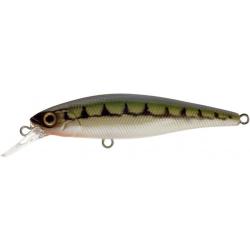 Leurre Illex Squad Minnow 65 Sp - 6.5cm 5.8g VAIRON