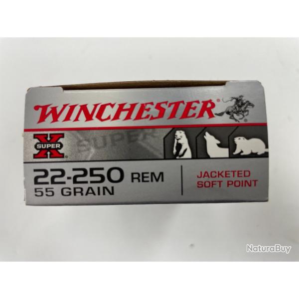 WINCHESTER CAL 22-250 R 55GR SOFT POINT BOITE DE 20 BALLES(VENDU PAR 2 BOITES)