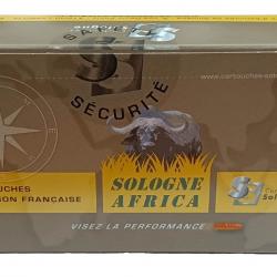 Cartouches de chasse gibier africain .30-378 Weatherby Magnum 180gr / 11,66g