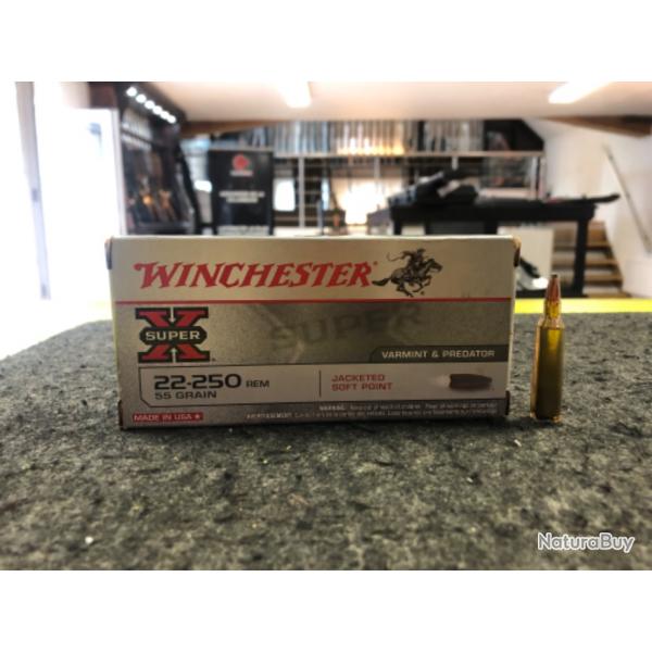 Winchester Super X Soft  Point Calibre 22-250 Rem 55 Grain