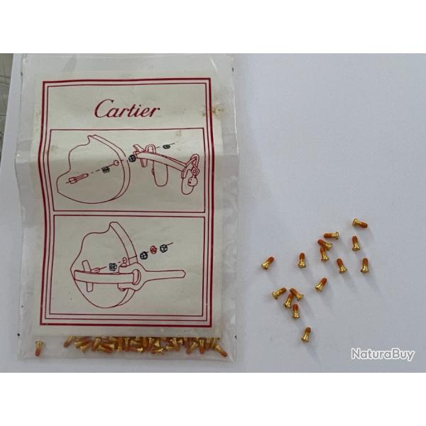 vis cartier pour lunette