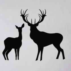 2x Autocollants cerfs et biche cibles ou déco voiture camping car ou autres noir ou blanc !