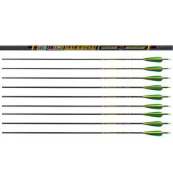 Lot de 12 flèches Skylon BackBone 5.2 500