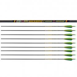 Lot de 12 flèches Skylon BackBone 5.2 600