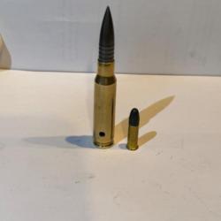 Munition 308 WIN ogive monolithique molycoater collection inerte